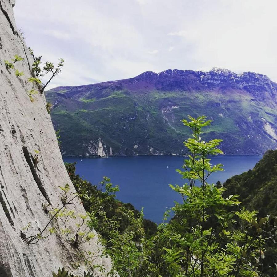 Appartamento Olea Arco Buitenkant foto